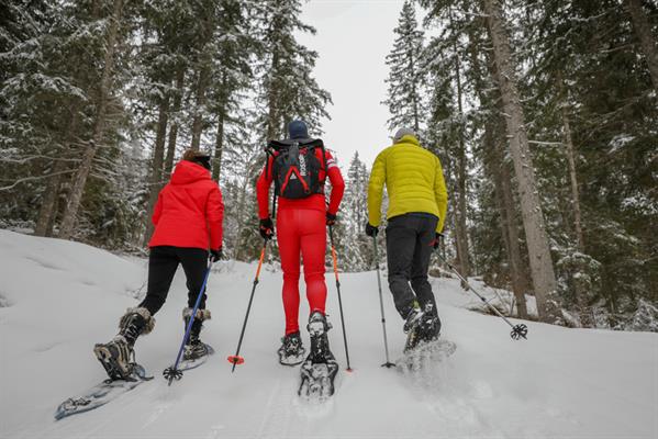 École du Ski Français - Ski nordique