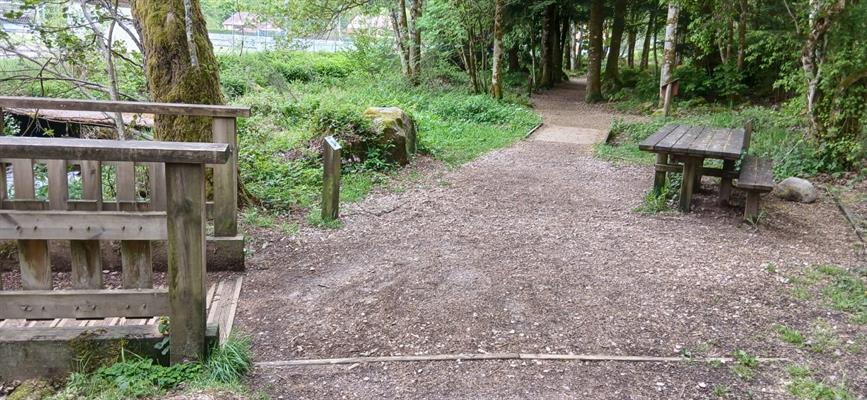 Office Tourisme Gérardmer : Sentier pour tous