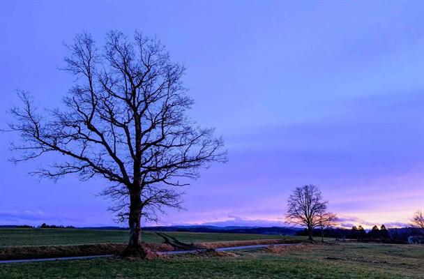 Commune de Champdray