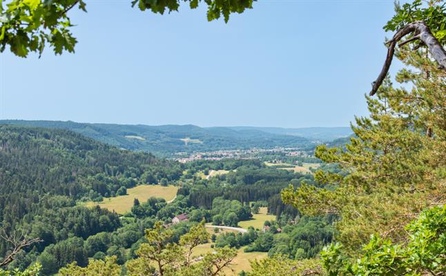 Le point de vue de Giropaire