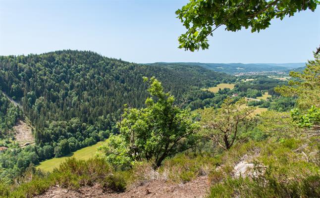 Le point de vue de Giropaire