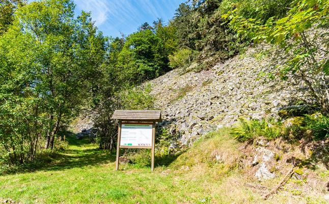 La réserve biologique intégrale du Kertoff