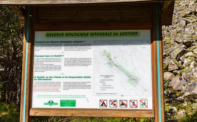 La réserve biologique intégrale du Kertoff