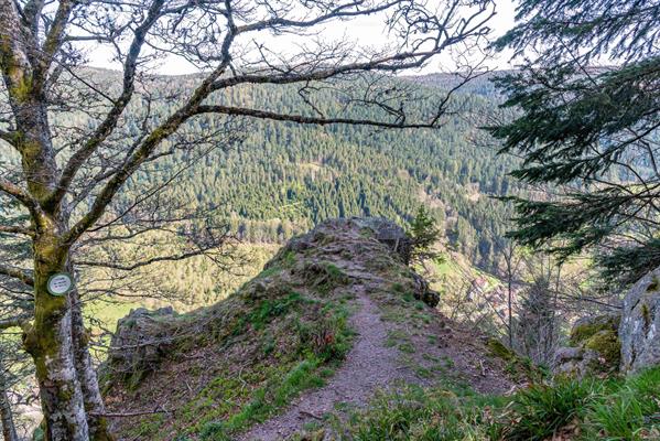 Les roches du Valtin