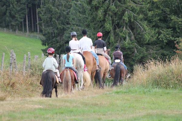 CRINS DES VOSGES - HORSE RIDING