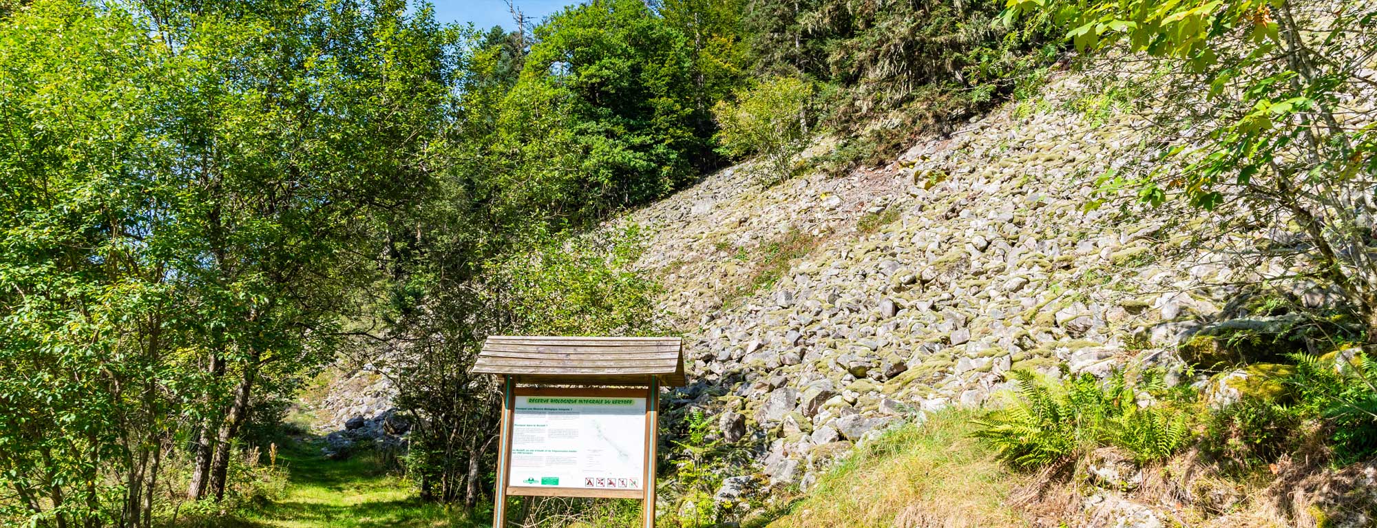 La réserve biologique intégrale du Kertoff