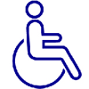 label_handicap_moteur